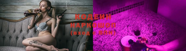 PSILOCYBIN Пересвет