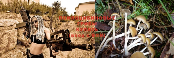 прущая мука Алзамай