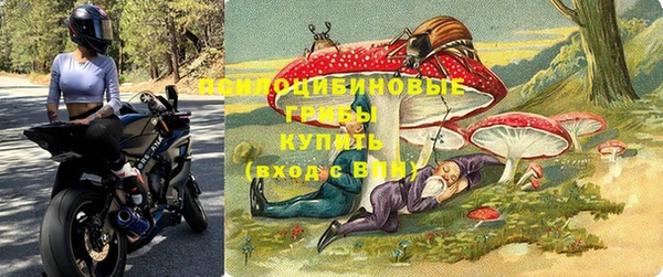 дживик Алексин